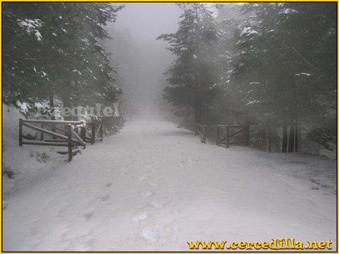 cercedilla_primeras_nieves_05