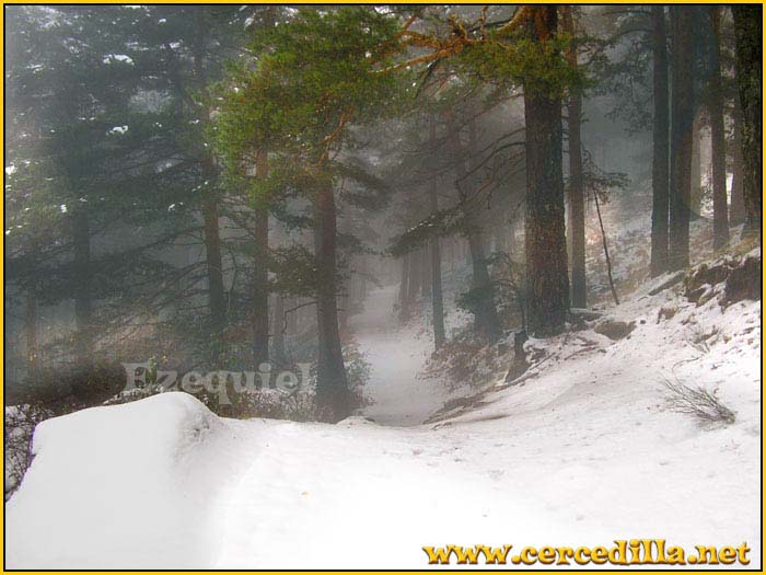 cercedilla_primeras_nieves_10