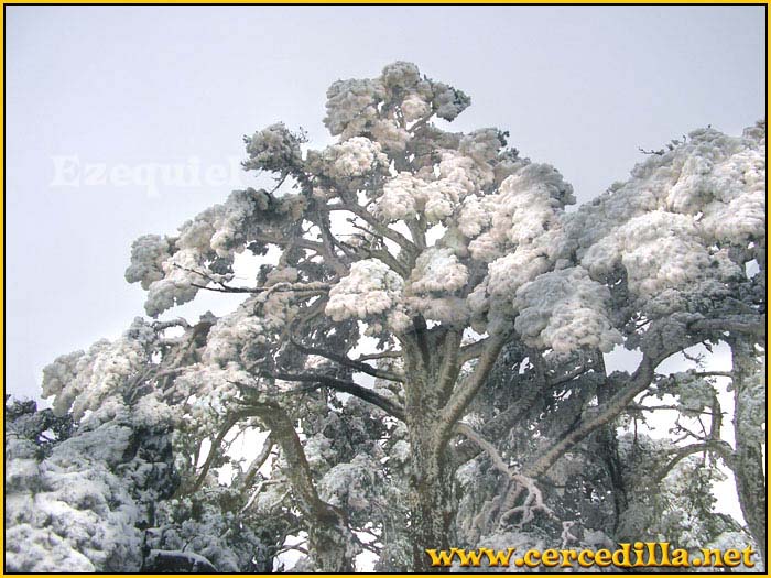 cercedilla_primeras_nieves_14