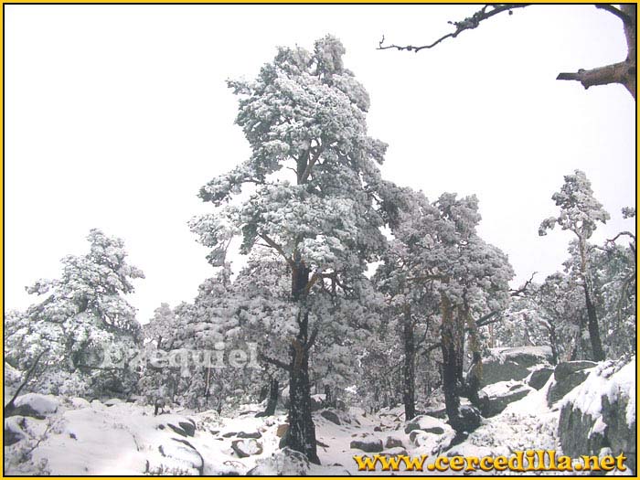 cercedilla_primeras_nieves_19
