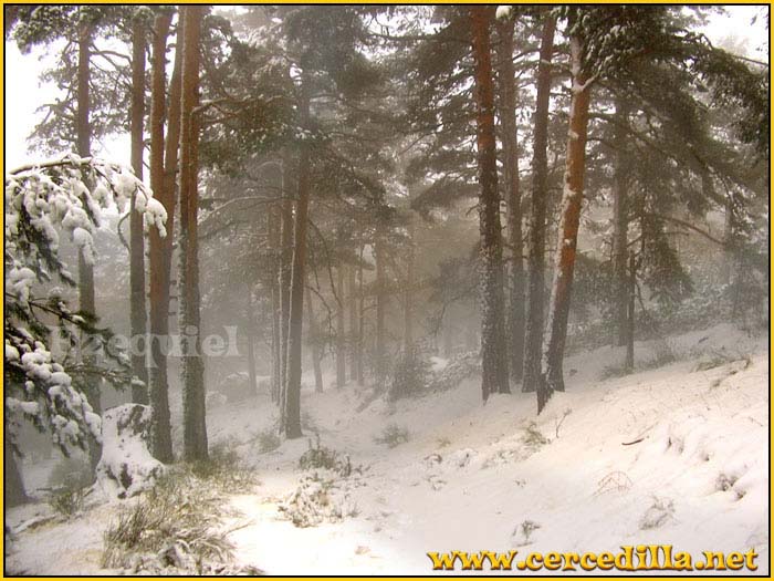 cercedilla_primeras_nieves_20