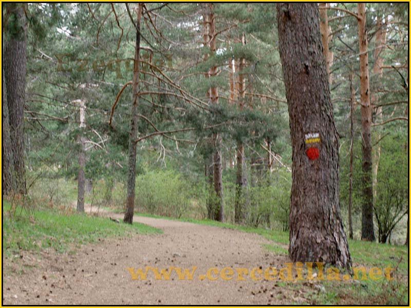 CaminoViejoSegovia_PuertoFuenfria_CalzadaRomana_03