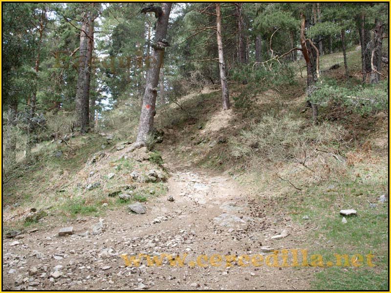 CaminoViejoSegovia_PuertoFuenfria_CalzadaRomana_05