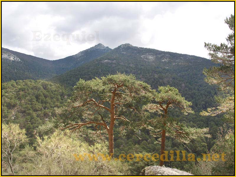 CaminoViejoSegovia_PuertoFuenfria_CalzadaRomana_07