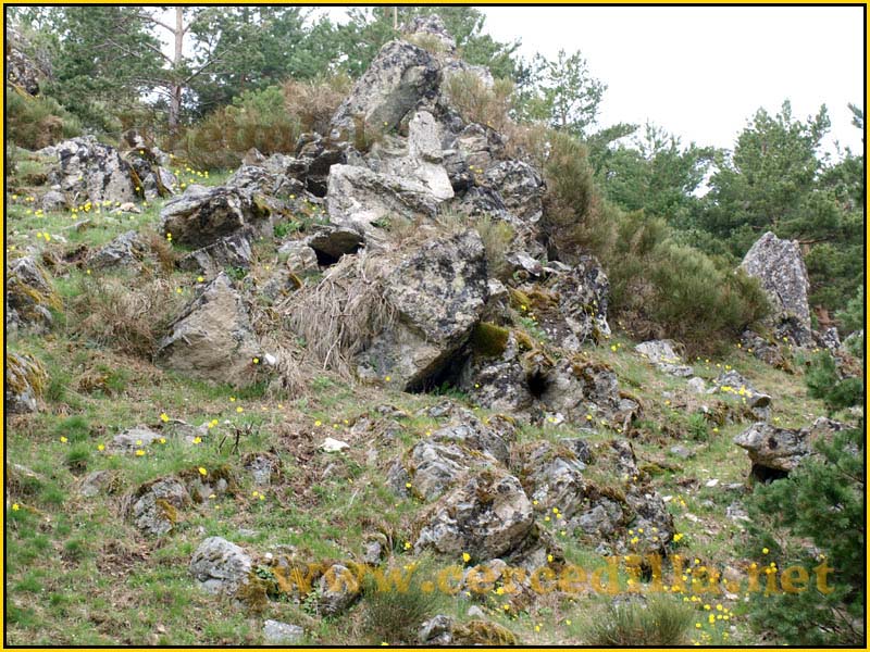 CaminoViejoSegovia_PuertoFuenfria_CalzadaRomana_08