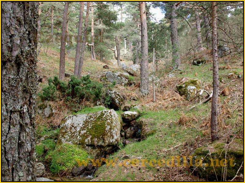 CaminoViejoSegovia_PuertoFuenfria_CalzadaRomana_15