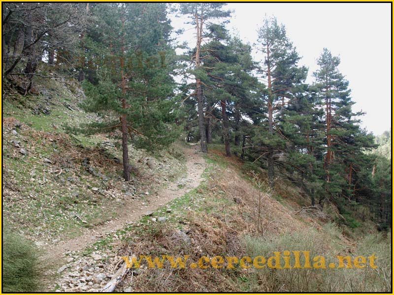 CaminoViejoSegovia_PuertoFuenfria_CalzadaRomana_16