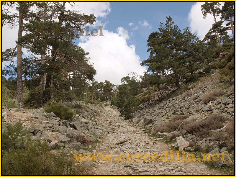 CaminoViejoSegovia_PuertoFuenfria_CalzadaRomana_33