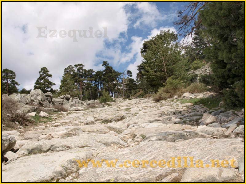 CaminoViejoSegovia_PuertoFuenfria_CalzadaRomana_35