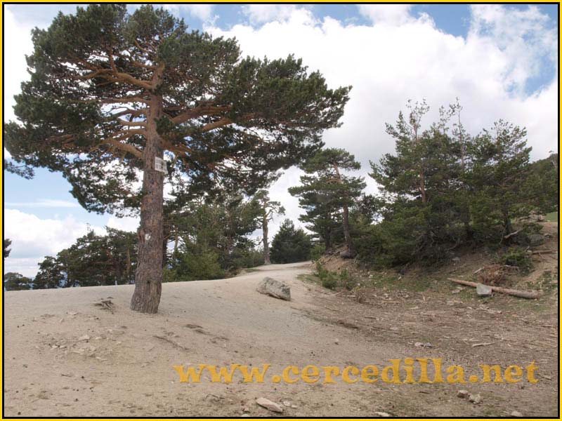 CaminoViejoSegovia_PuertoFuenfria_CalzadaRomana_40