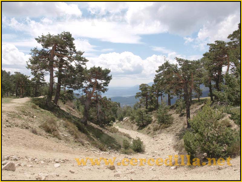 CaminoViejoSegovia_PuertoFuenfria_CalzadaRomana_51
