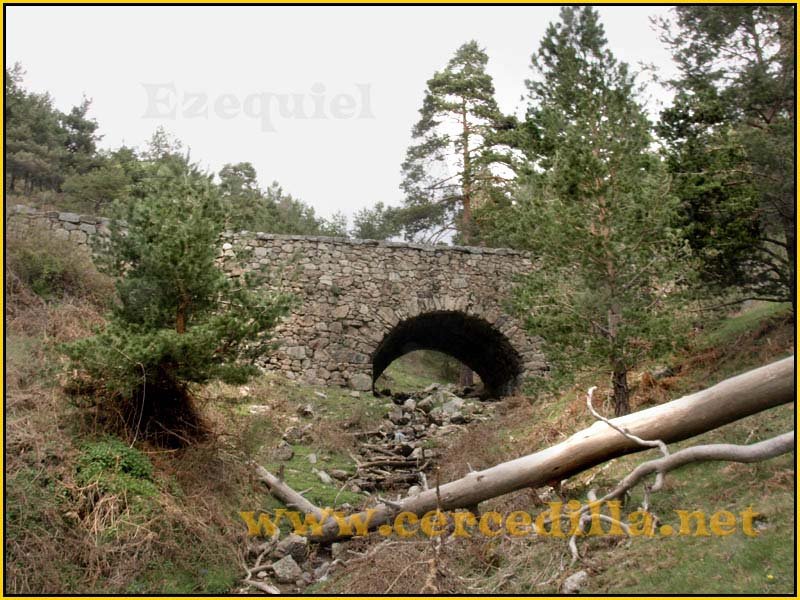 CaminoViejoSegovia_PuertoFuenfria_CalzadaRomana_60