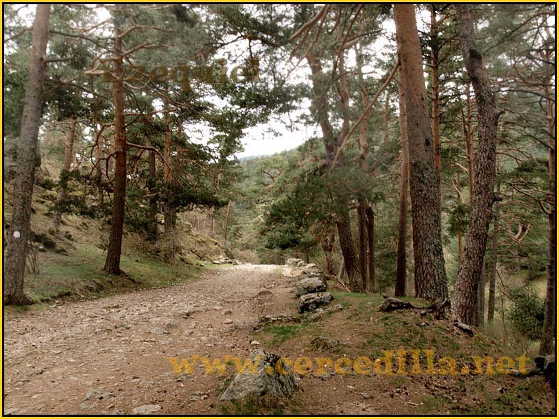 CaminoViejoSegovia_PuertoFuenfria_CalzadaRomana_61