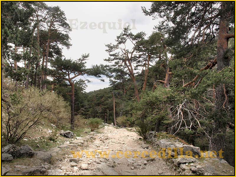 CaminoViejoSegovia_PuertoFuenfria_CalzadaRomana_63