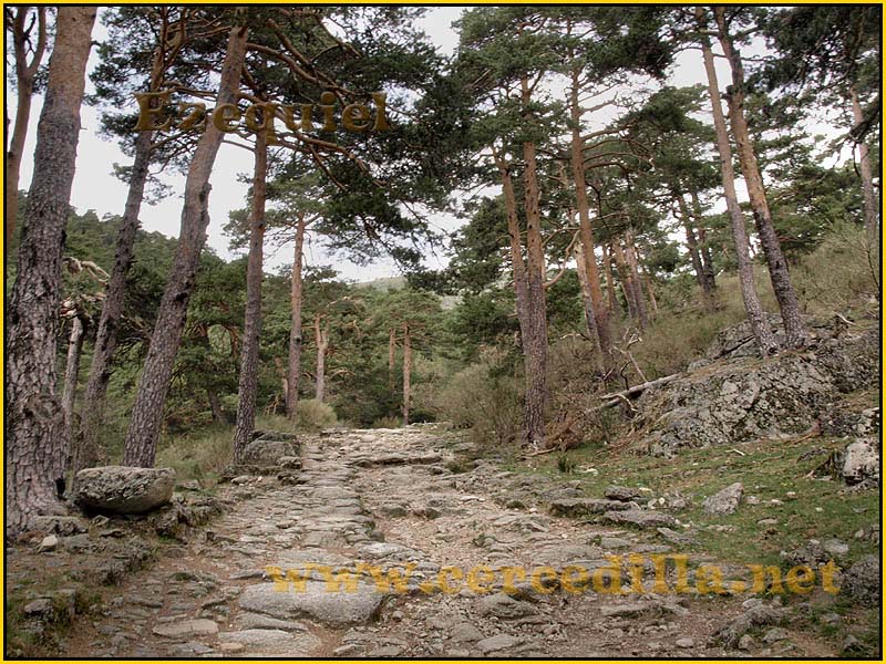 CaminoViejoSegovia_PuertoFuenfria_CalzadaRomana_65