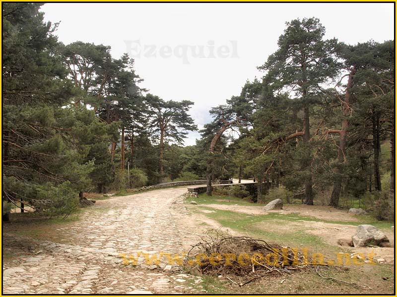 CaminoViejoSegovia_PuertoFuenfria_CalzadaRomana_67