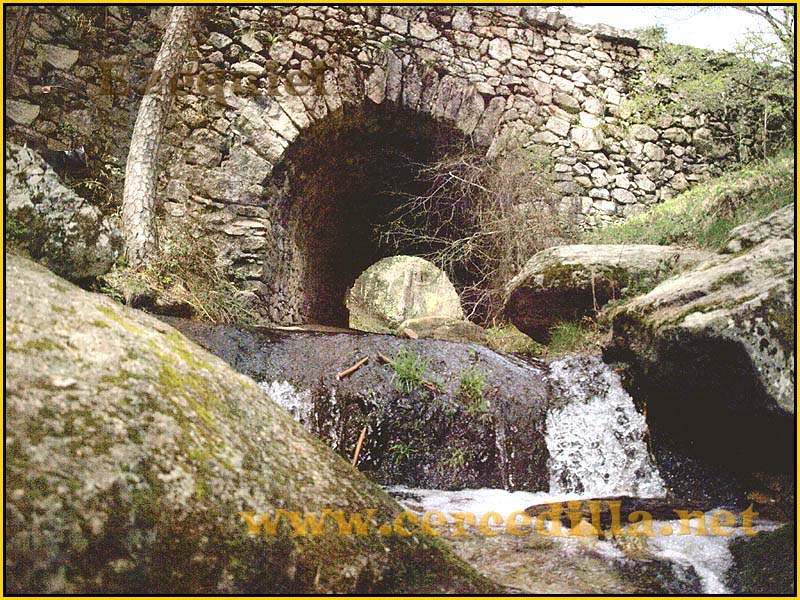 CaminoViejoSegovia_PuertoFuenfria_CalzadaRomana_69