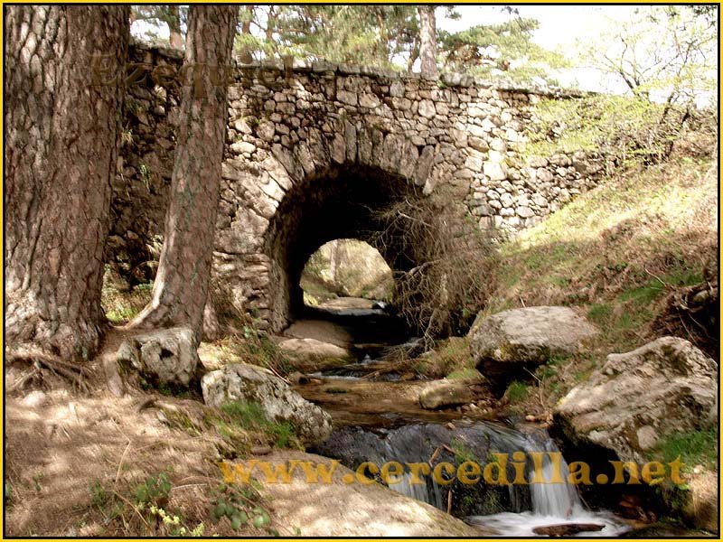 CaminoViejoSegovia_PuertoFuenfria_CalzadaRomana_70