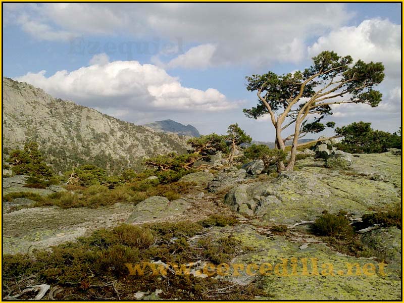 ruta_por_las_fuentes_SietePicos_23