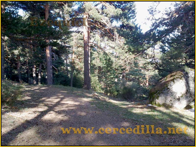 ruta_por_las_fuentes_SietePicos_31