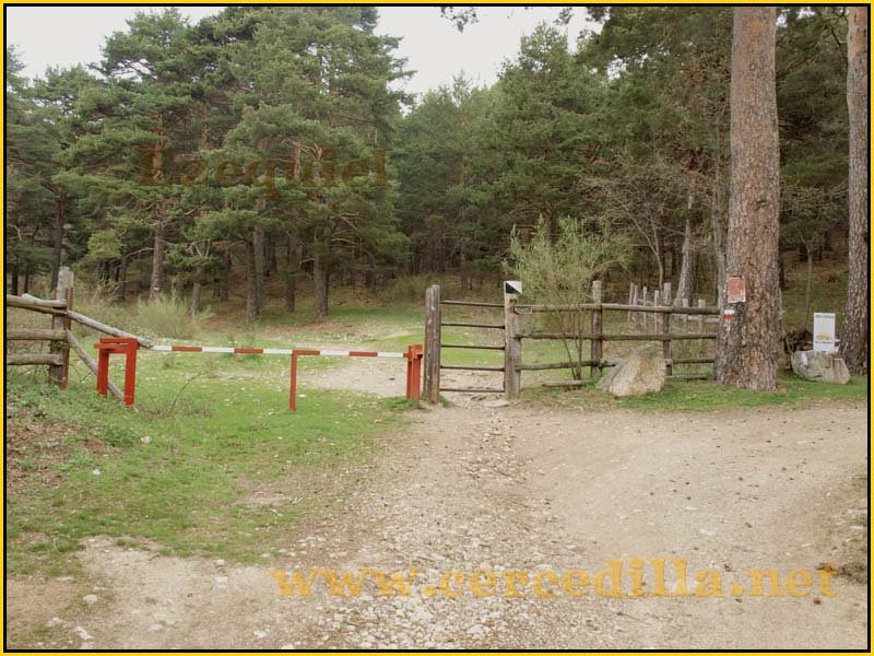 camorritos_miradores_aguilas_rosales_zorro_01