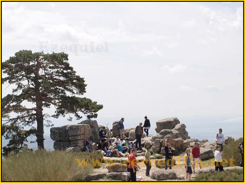 camorritos_miradores_aguilas_rosales_zorro_14