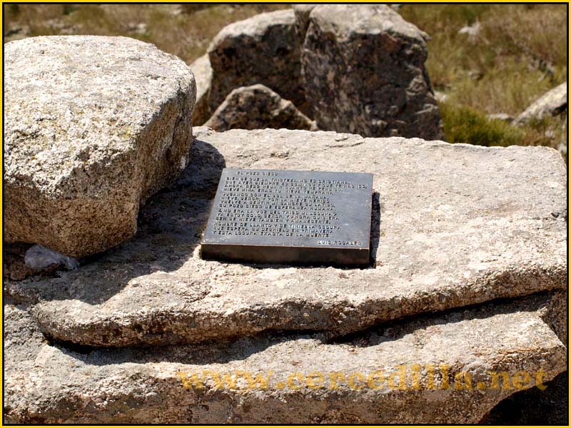 camorritos_miradores_aguilas_rosales_zorro_16