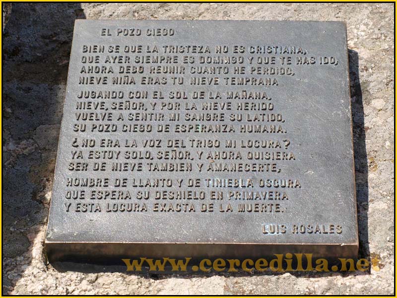 camorritos_miradores_aguilas_rosales_zorro_17