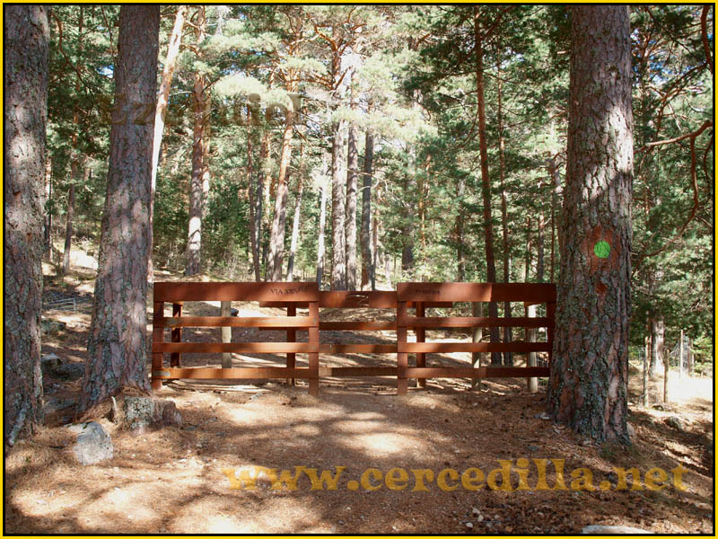 ruta_cercedilla_puesta_de_sol_en_7picos_018