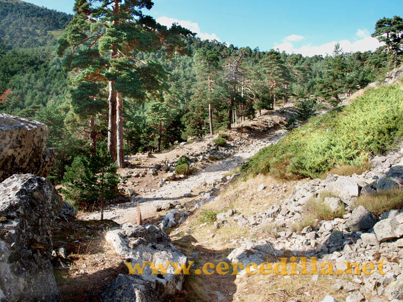 ruta_cercedilla_puesta_de_sol_en_7picos_022