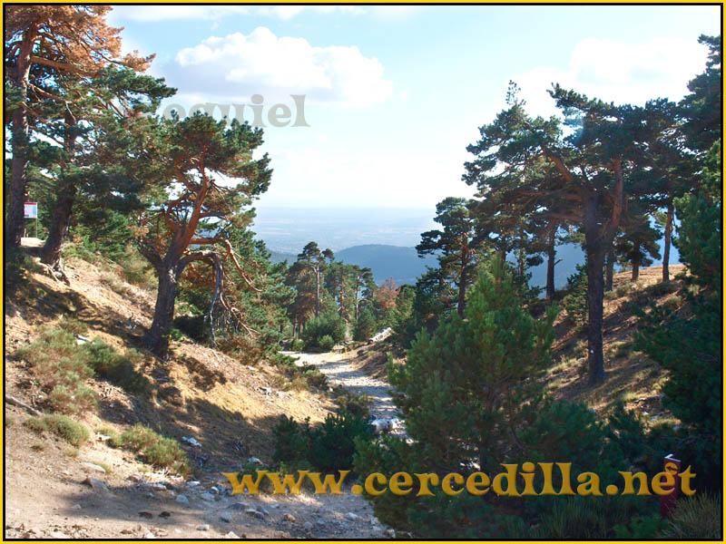 ruta_cercedilla_puesta_de_sol_en_7picos_030