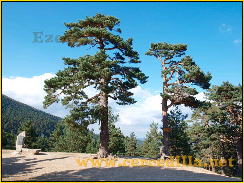 ruta_cercedilla_puesta_de_sol_en_7picos_037