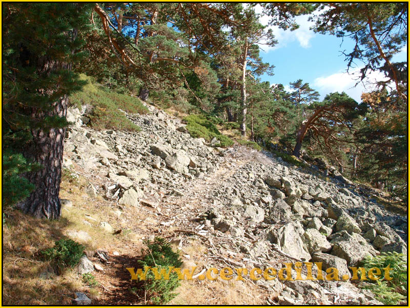 ruta_cercedilla_puesta_de_sol_en_7picos_038