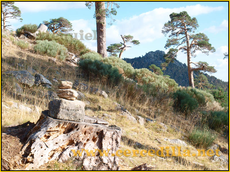 ruta_cercedilla_puesta_de_sol_en_7picos_039