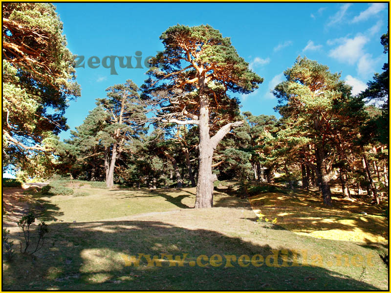 ruta_cercedilla_puesta_de_sol_en_7picos_042