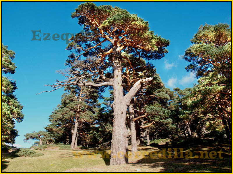 ruta_cercedilla_puesta_de_sol_en_7picos_043