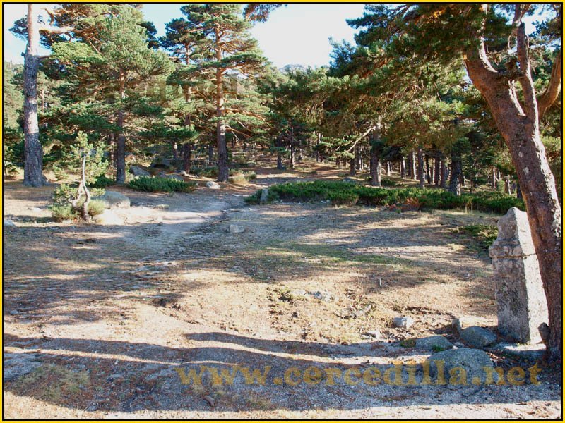 ruta_cercedilla_puesta_de_sol_en_7picos_047
