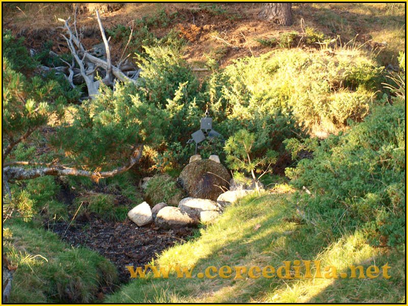 ruta_cercedilla_puesta_de_sol_en_7picos_065