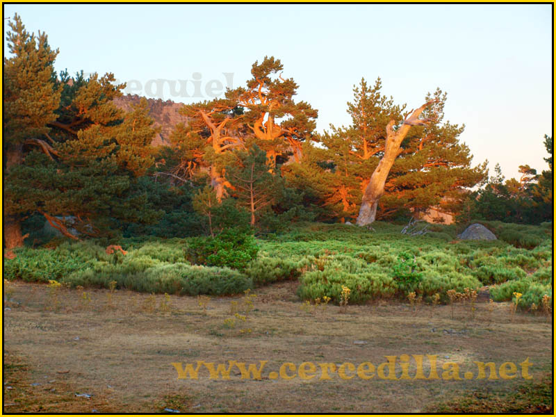 ruta_cercedilla_puesta_de_sol_en_7picos_073