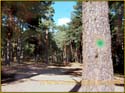 ruta_cercedilla_puesta_de_sol_en_7picos_004