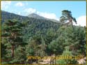 ruta_cercedilla_puesta_de_sol_en_7picos_027