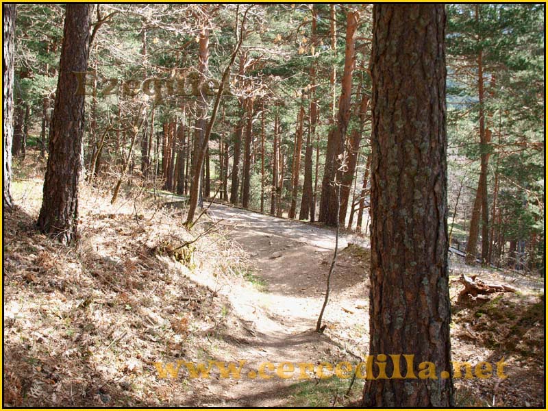 camorritos_rio_pradillo_hueco_siete_picos_04