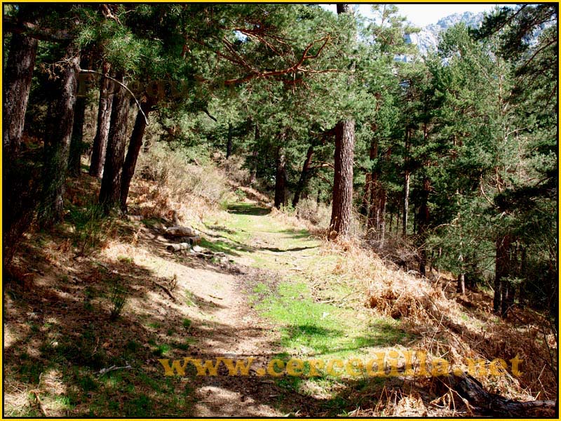 camorritos_rio_pradillo_hueco_siete_picos_13