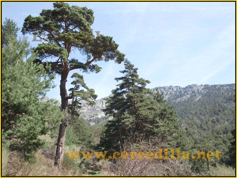 camorritos_rio_pradillo_hueco_siete_picos_17